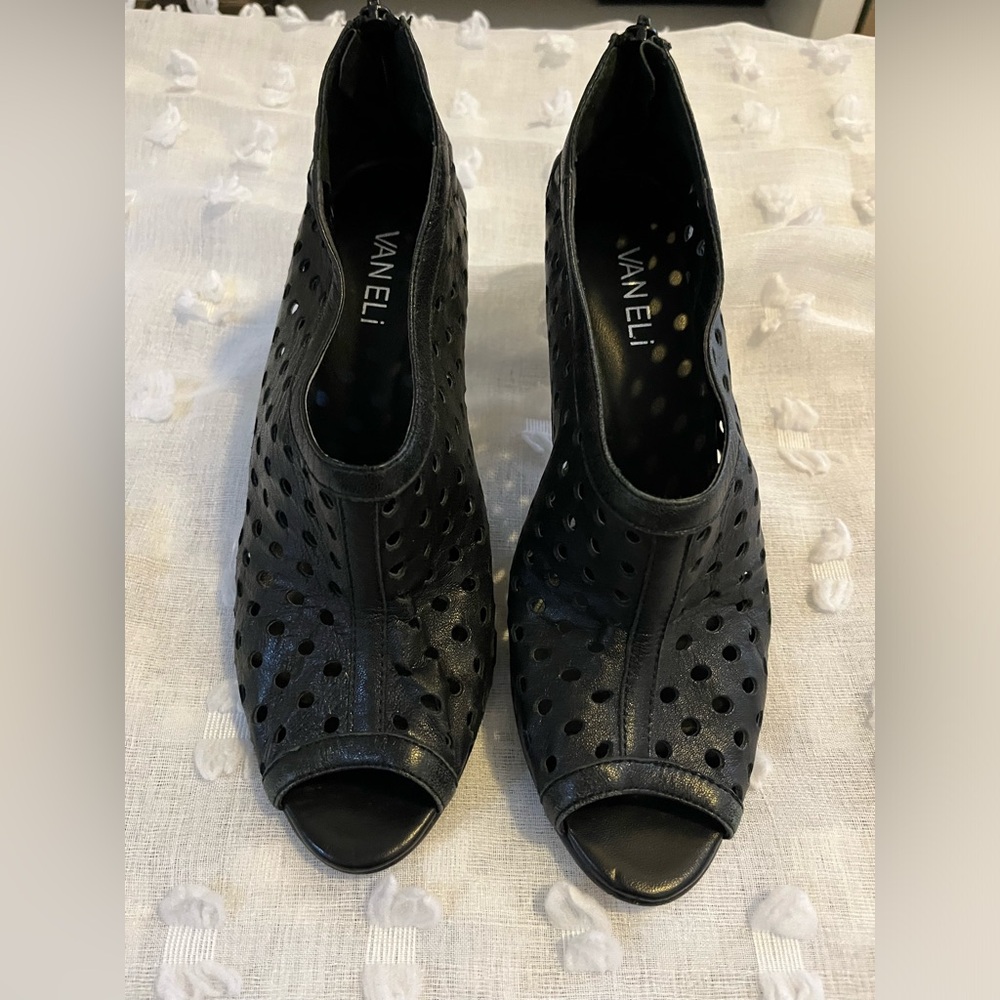 Vaneli Pump